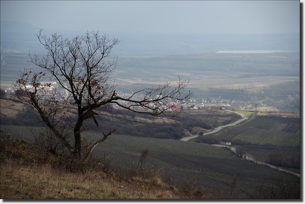 Abasár