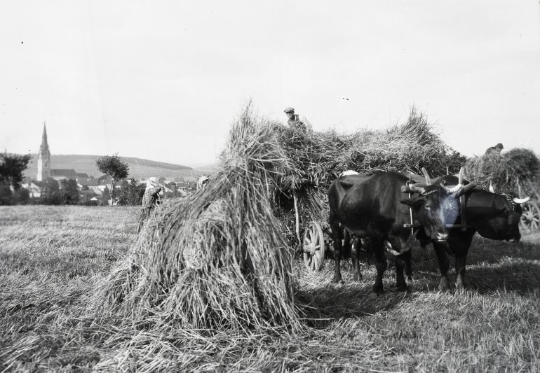 fortepan_95368.jpg