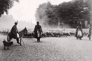 fortepan_86879.jpg